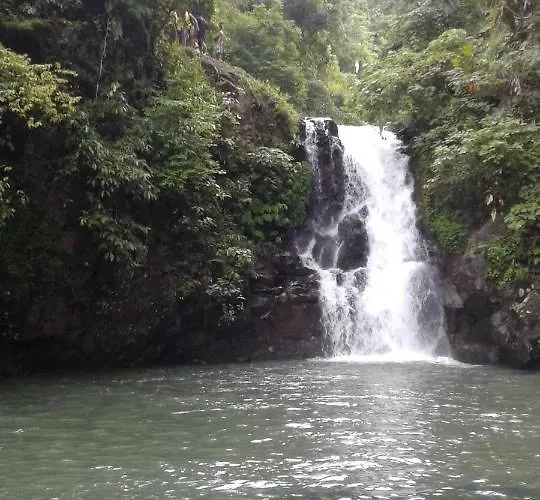 ホテル D'kailash Retreat