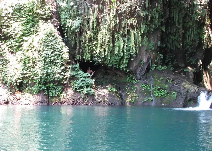 ホテル D'kailash Retreat Singaraja