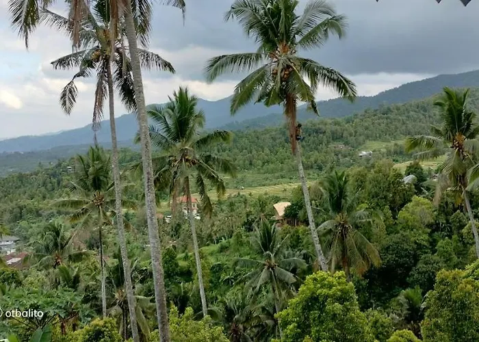 D'kailash Retreat ホテル