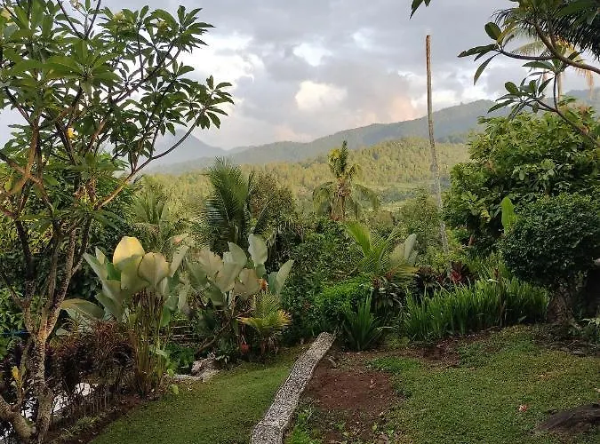 Hotel D'kailash Retreat Singaraja (Bali)