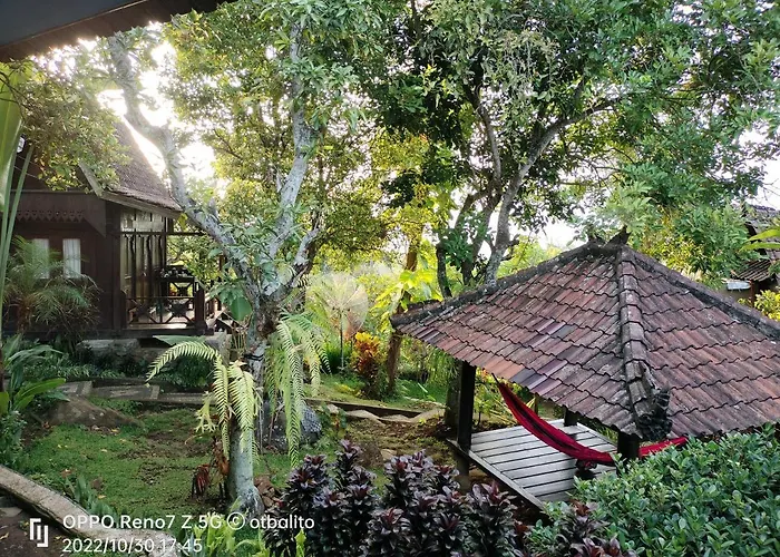 D'kailash Retreat ホテル